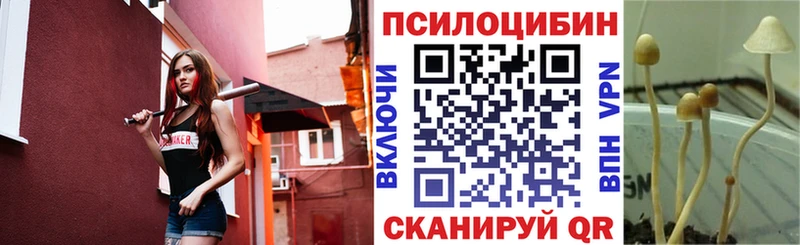 Псилоцибиновые грибы Magic Shrooms  Купить закладки  Калачинск 